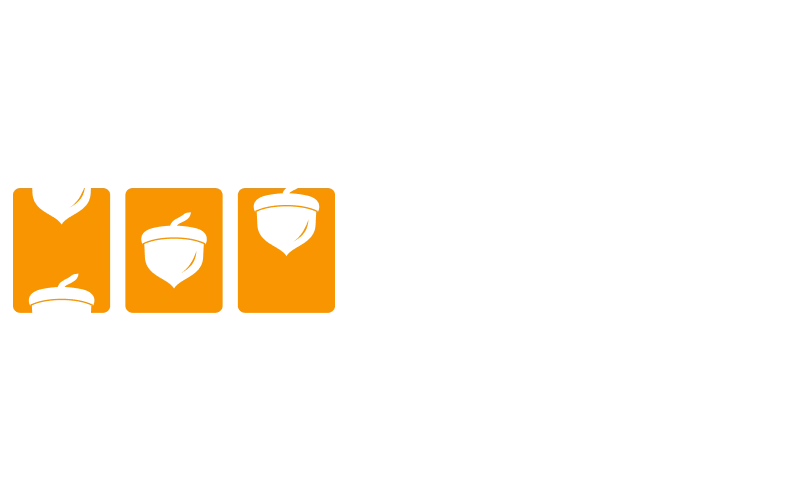 Spin the best reels from 3 Oaks on the Parimatch platform.