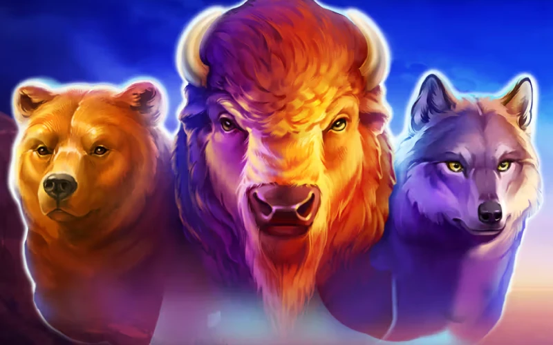 Activate the Buffalo Power Hold & Win feature by Playson.